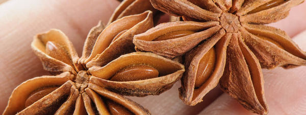 10 Remarkable Star Anise Health Benefits Backed by Research 10/15/25