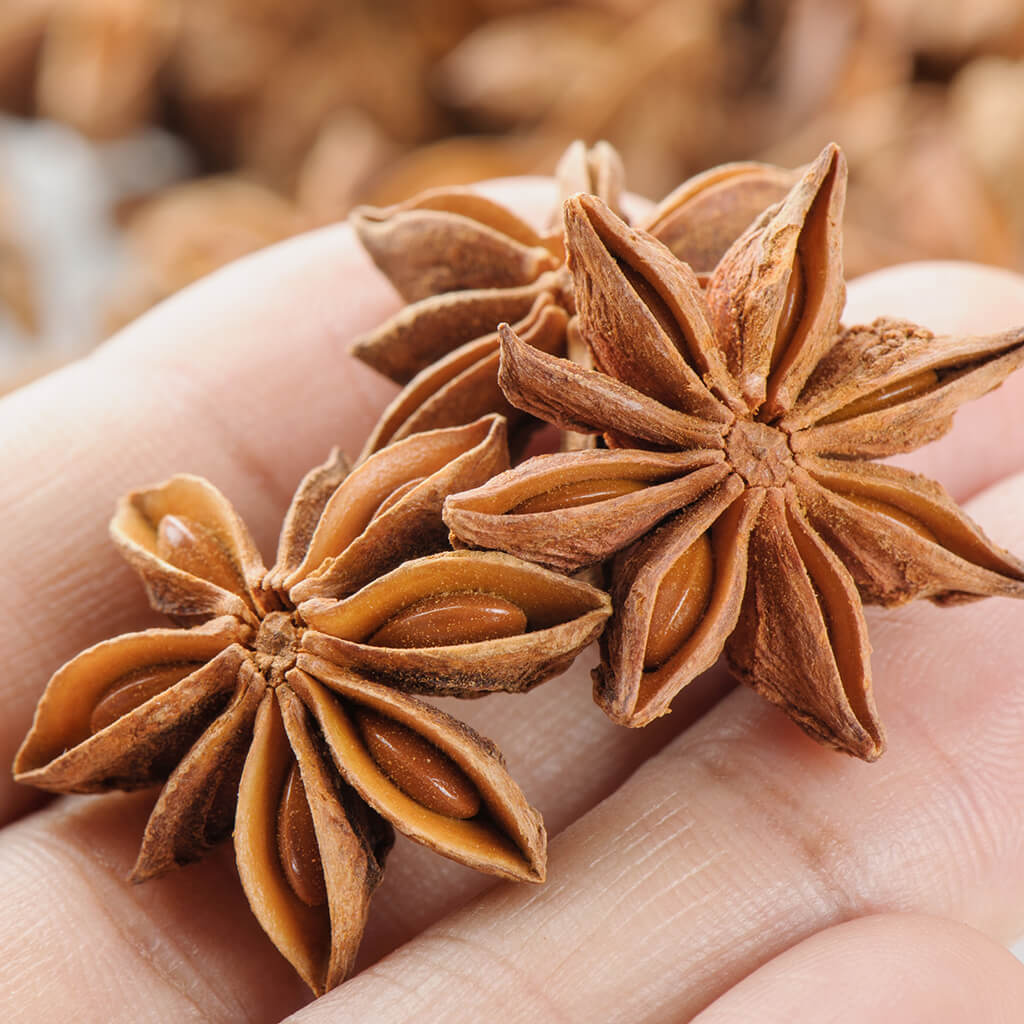 Star Anise Elixir
