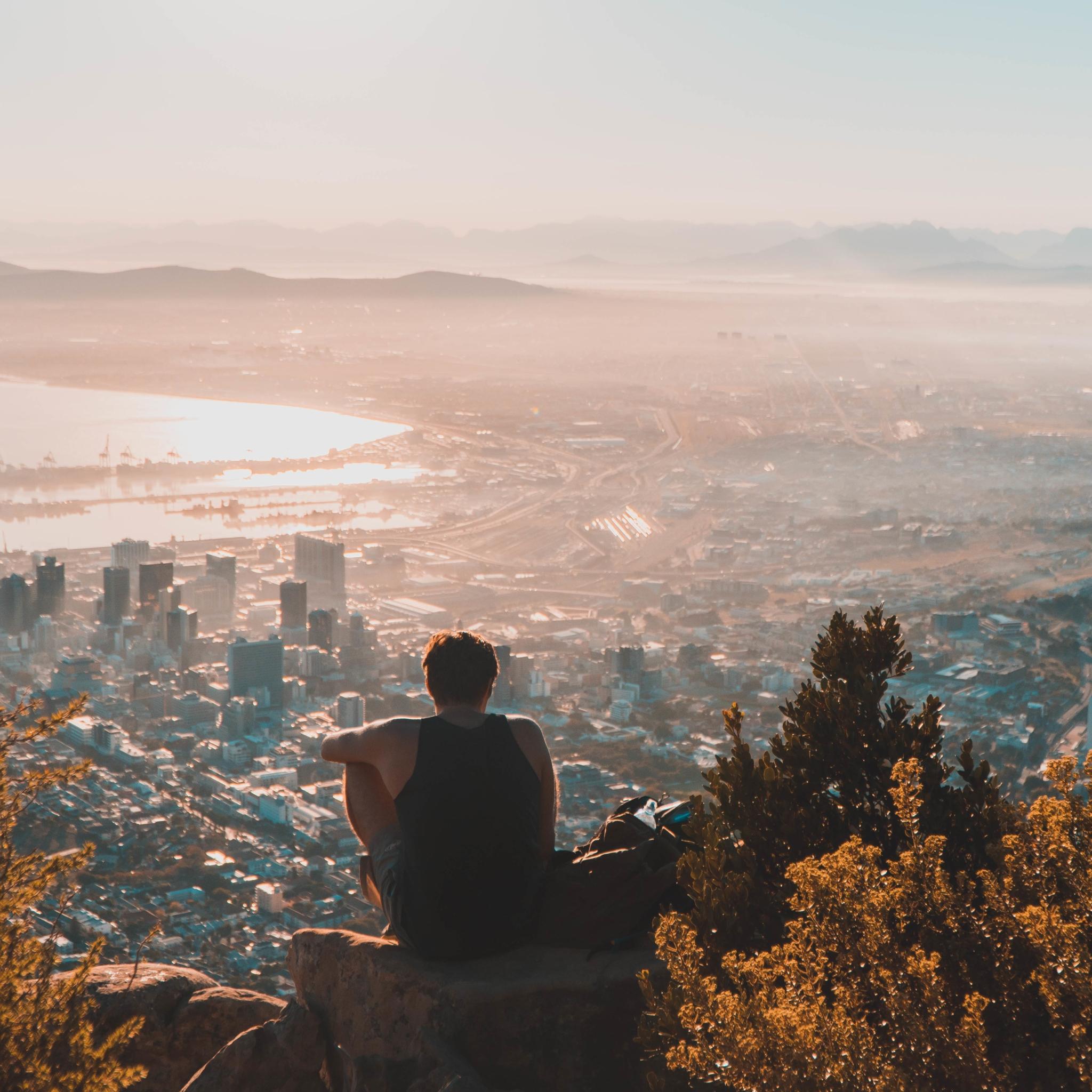 Shikimic Acid...from 3 Sources