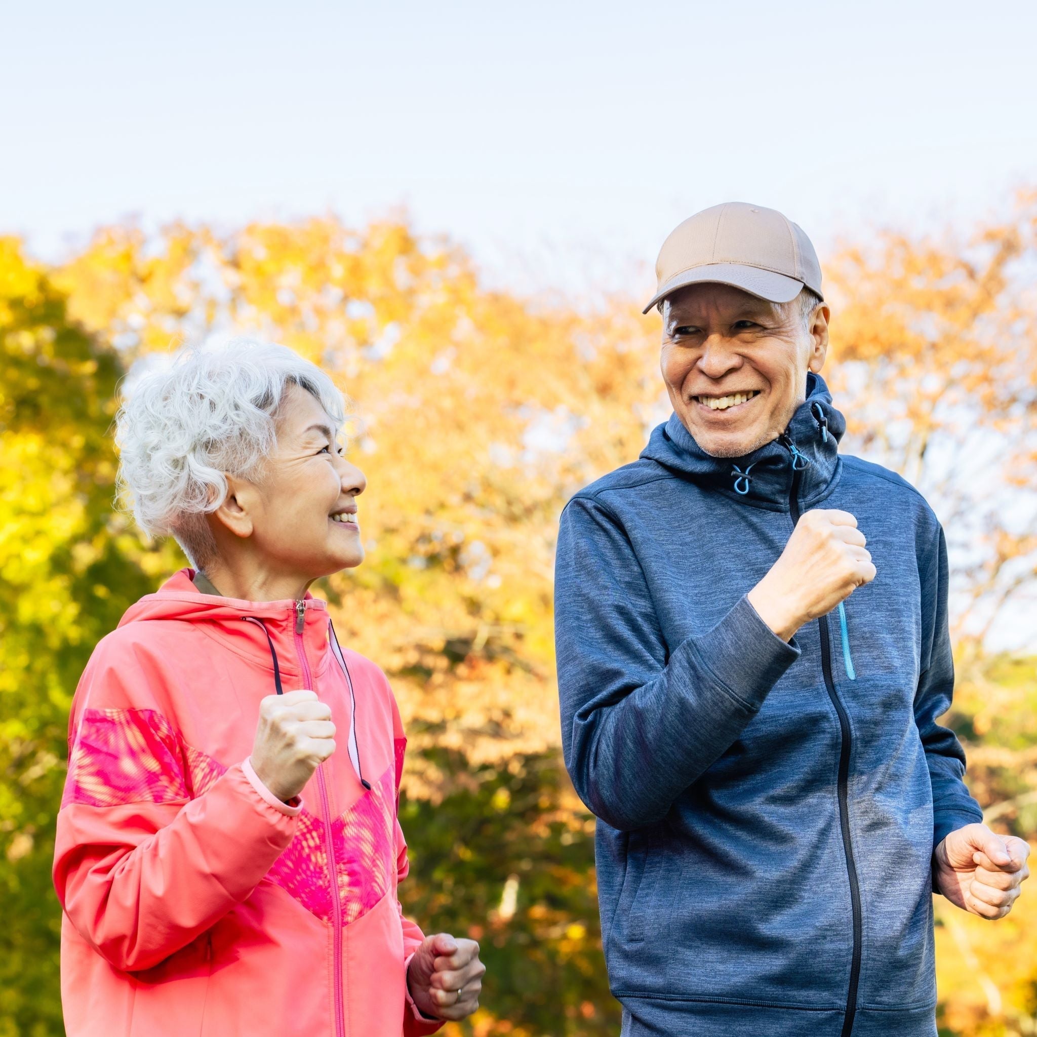 Chaga Mushroom: A Natural Remedy for Improved Health and Well-being