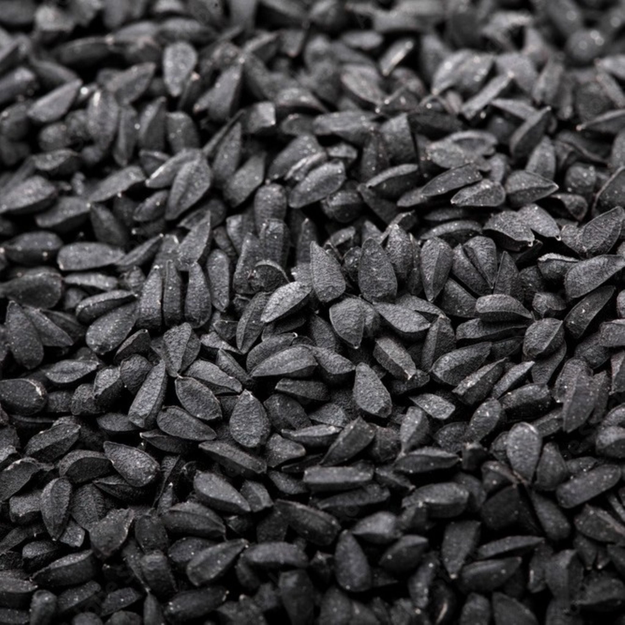 Even More Properties of Black Cumin 8/18/25