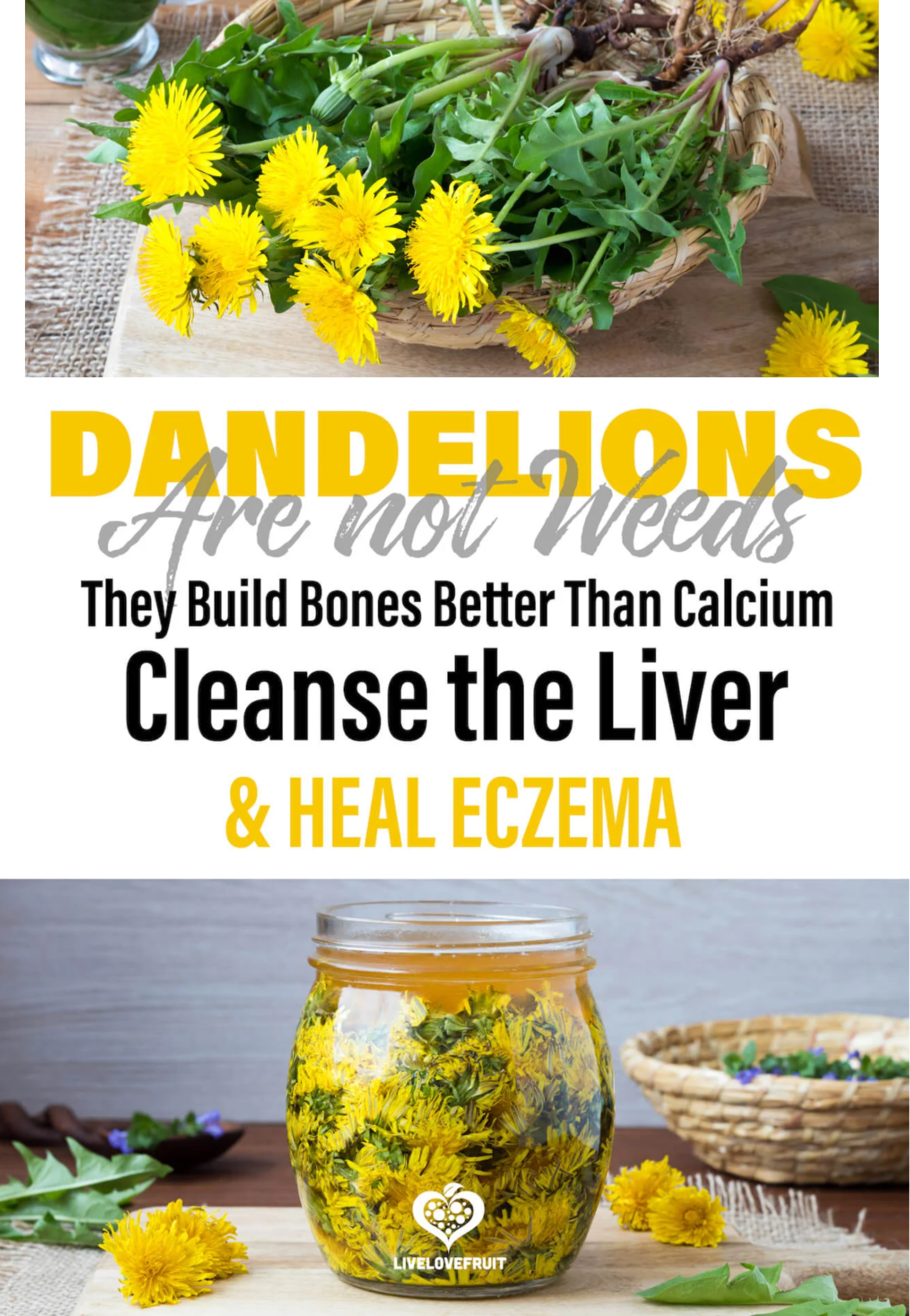 Dandelion Are Not Weeds