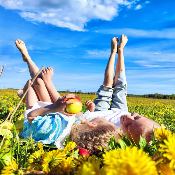 12 Amazing Benefits of Dandelions 8/12/25