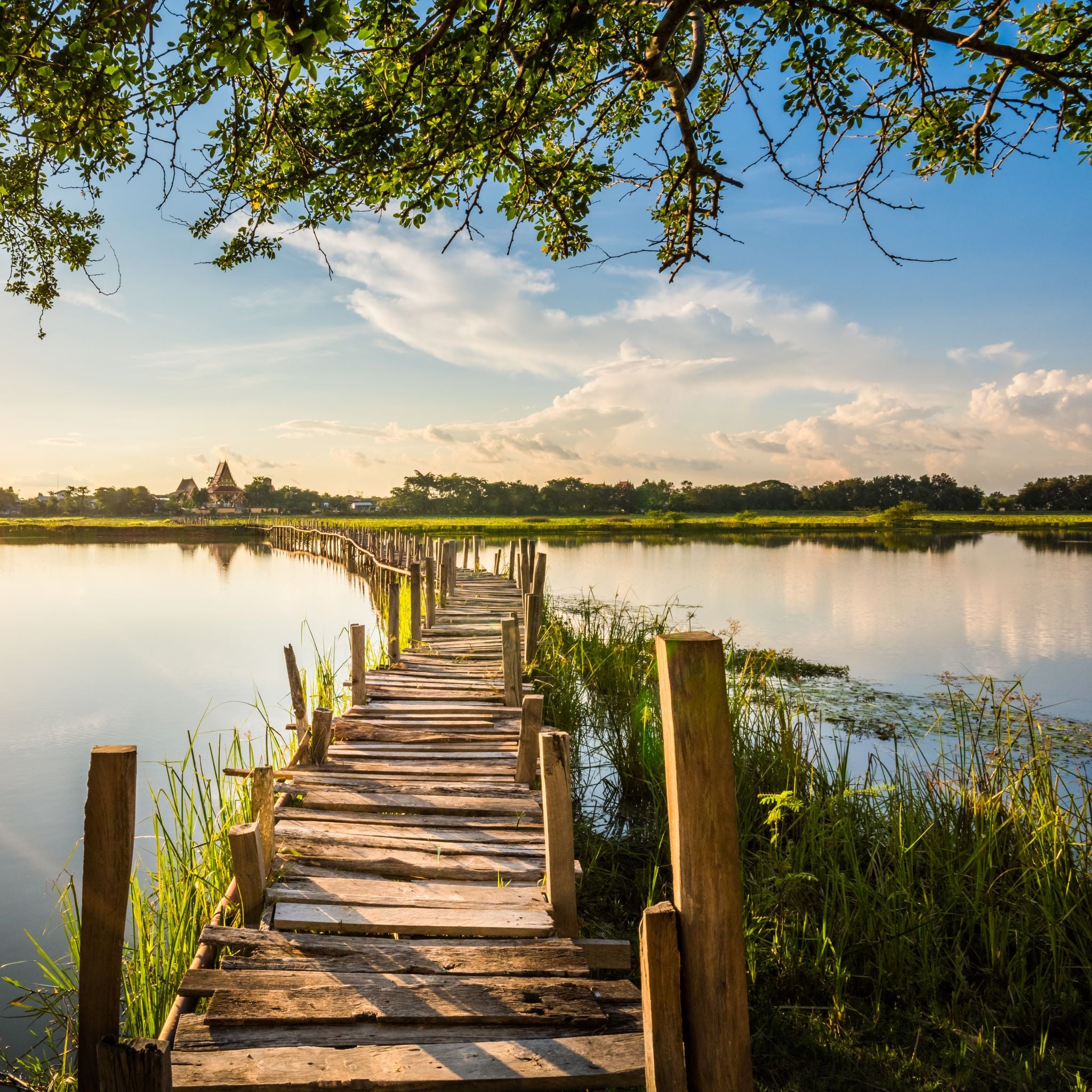 Ancient Secrets to Heal in 2023 - Black Cumin Seeds