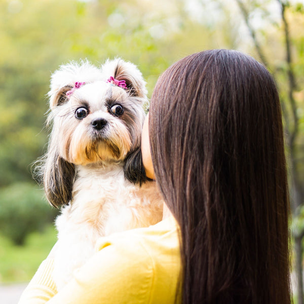 6 Health Benefits Of Owning A Dog - A Less Toxic Life