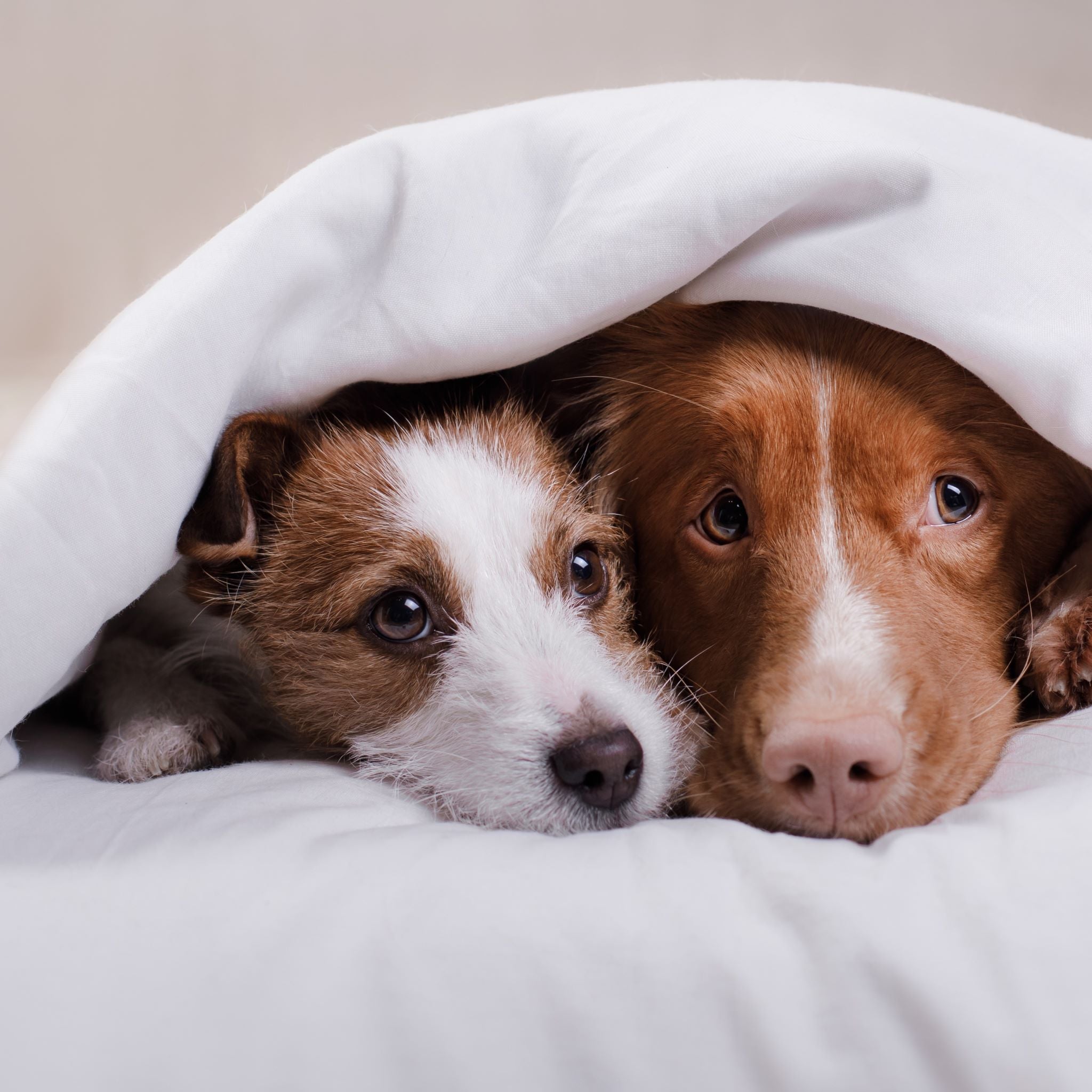 Nine Smart Colloidal Silver Uses