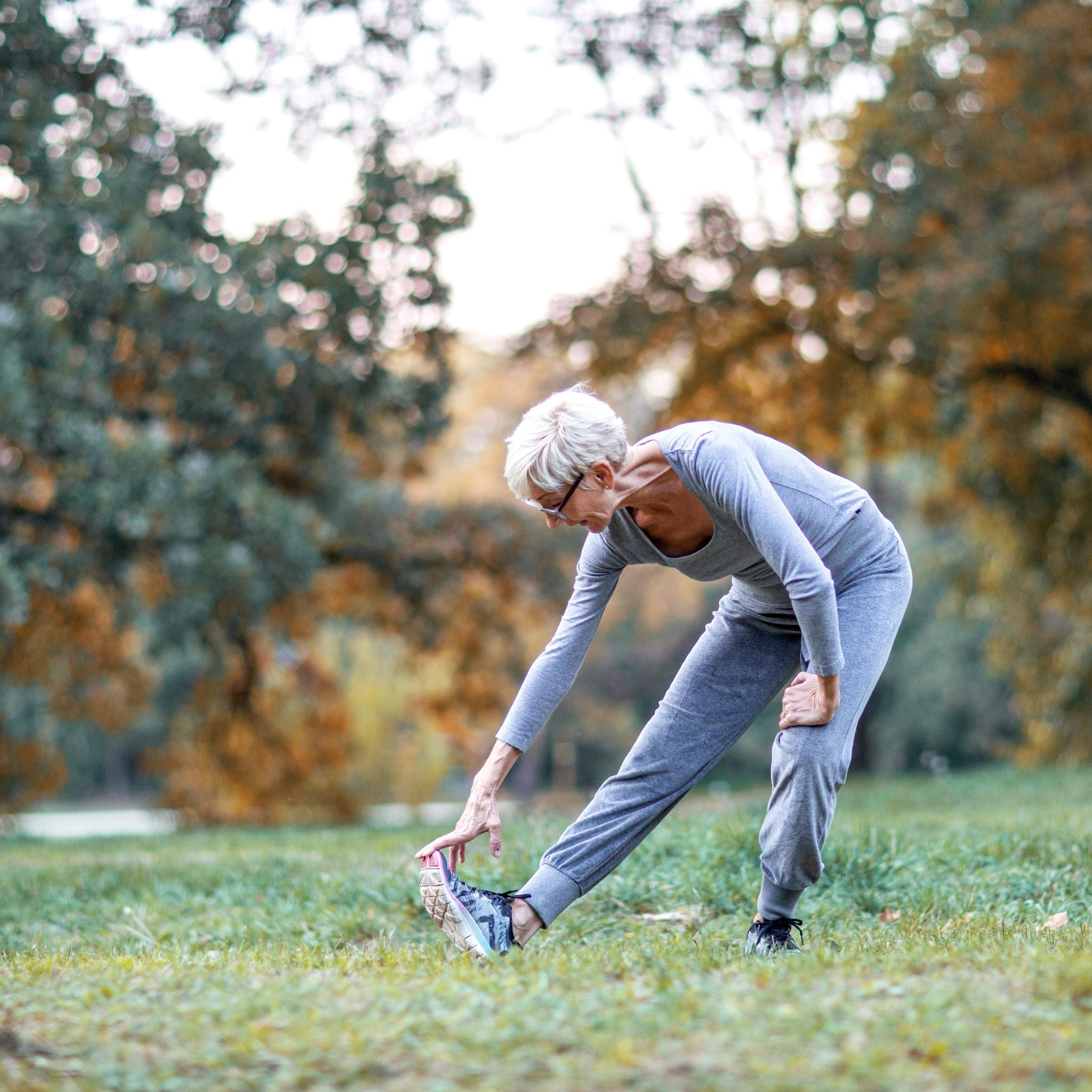 White Pine Needles as an Antioxidant