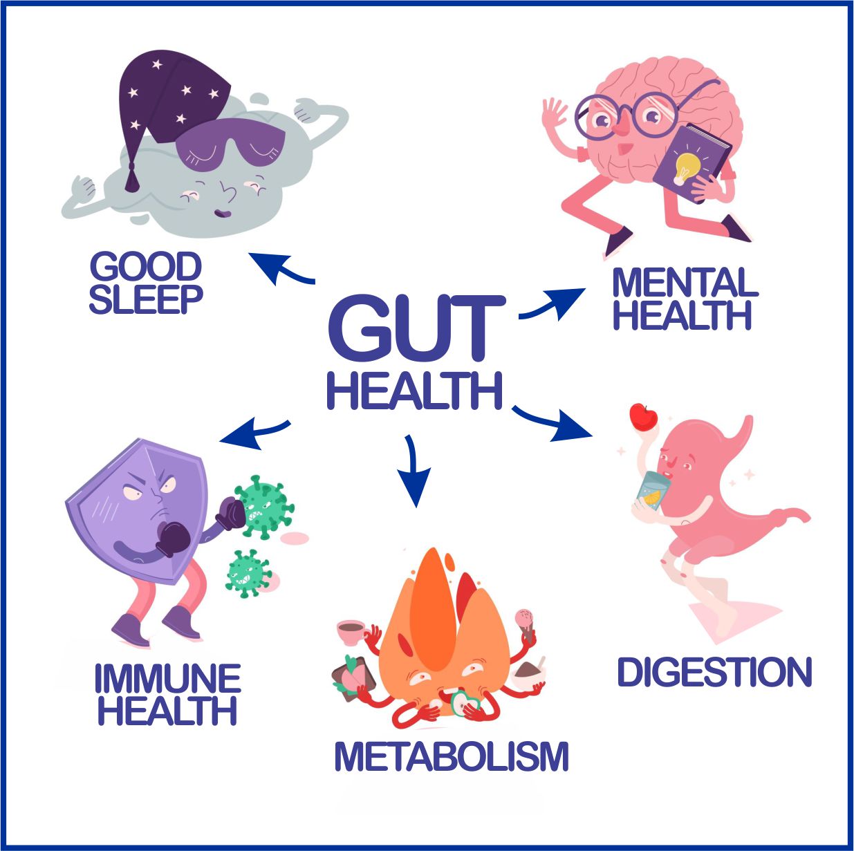 Fennel Seed Gut Health & so much more!