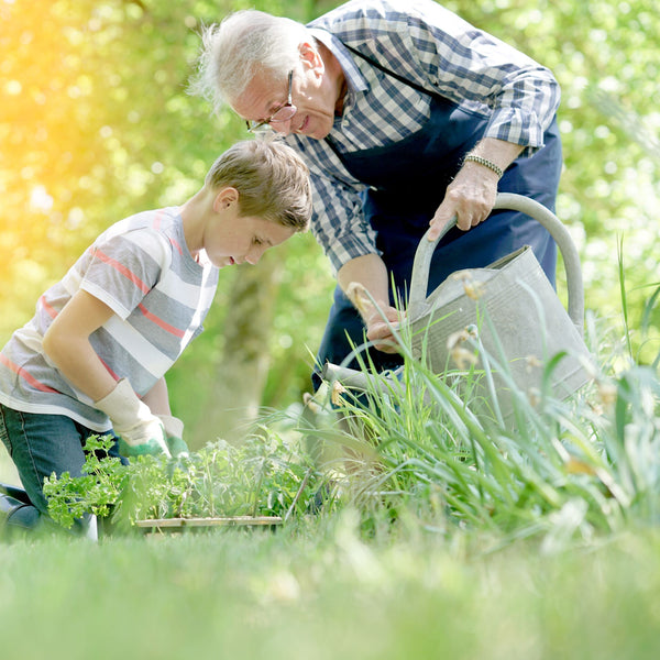 Colloidal Silver Can Help Your Plants Thrive!