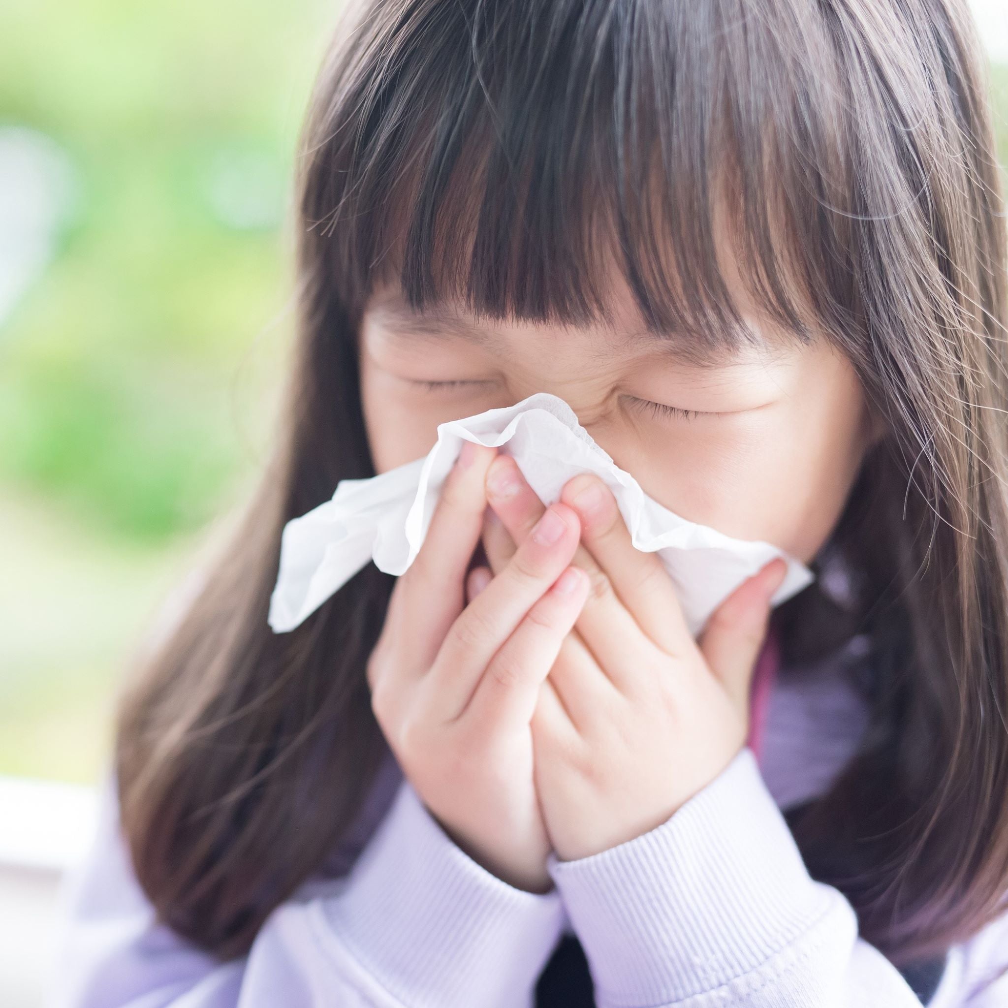 Echinacea Healing Benefits