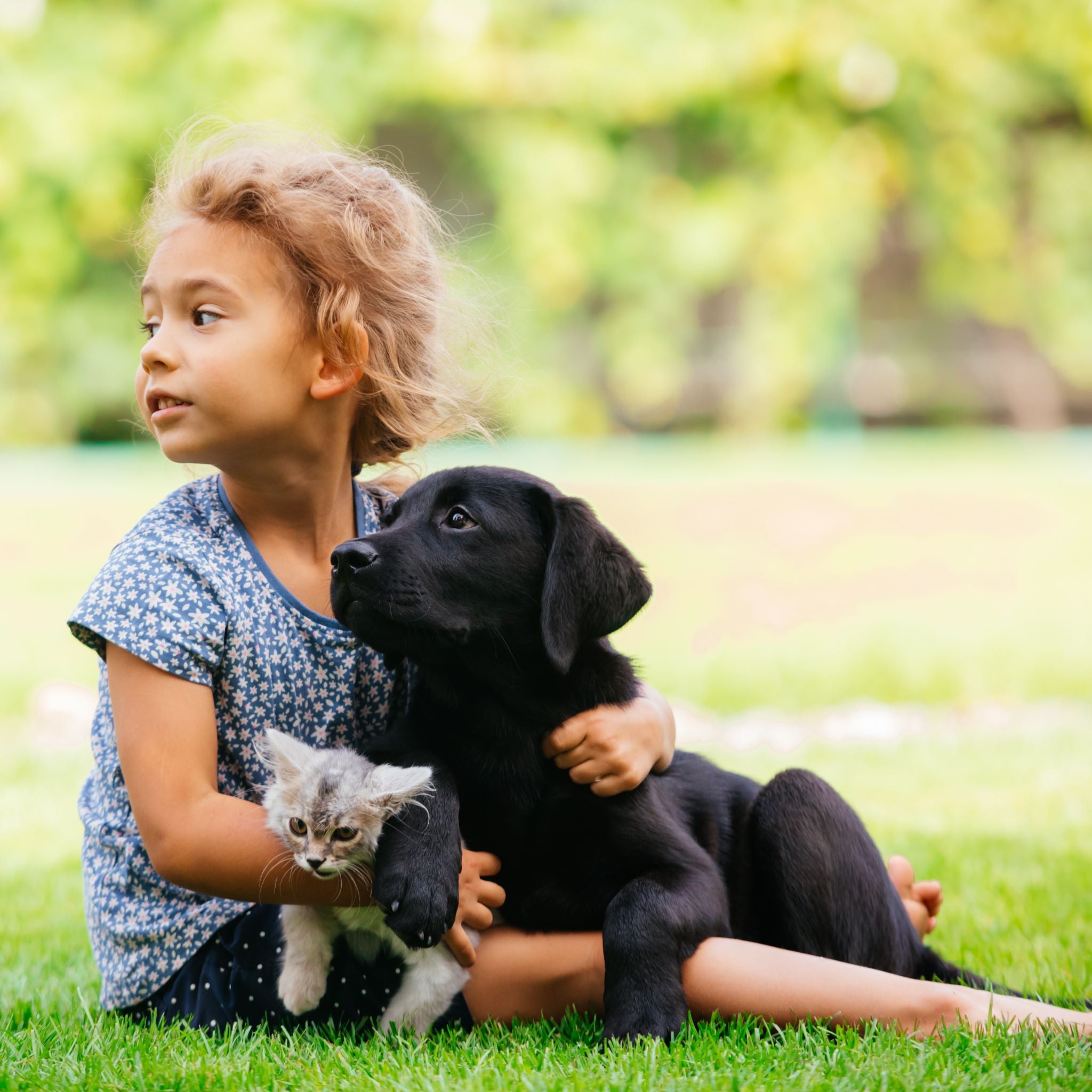 75 Uses for Colloidal Silver