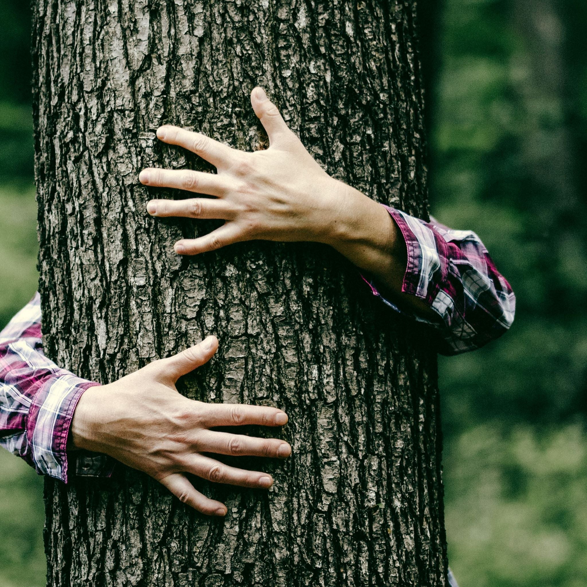 Immune System Boost Made Simple