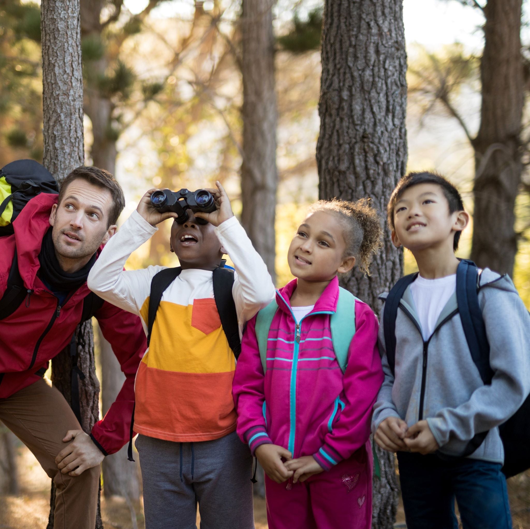 Top 10 Health Benefits from Chaga!