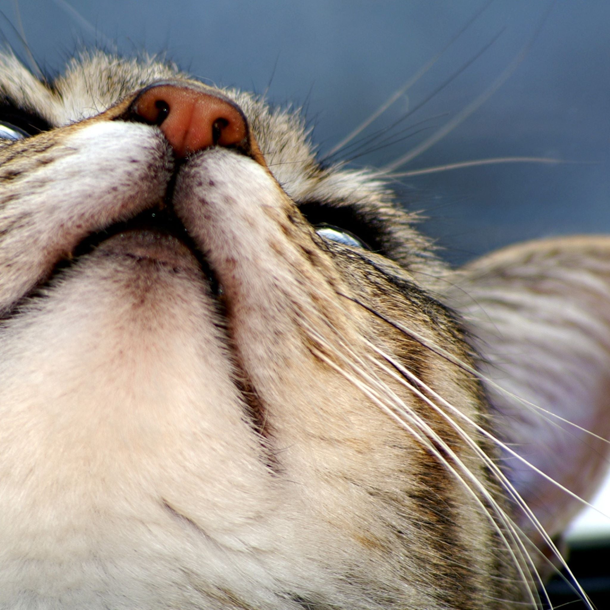 Colloidal Silver Health Benefits