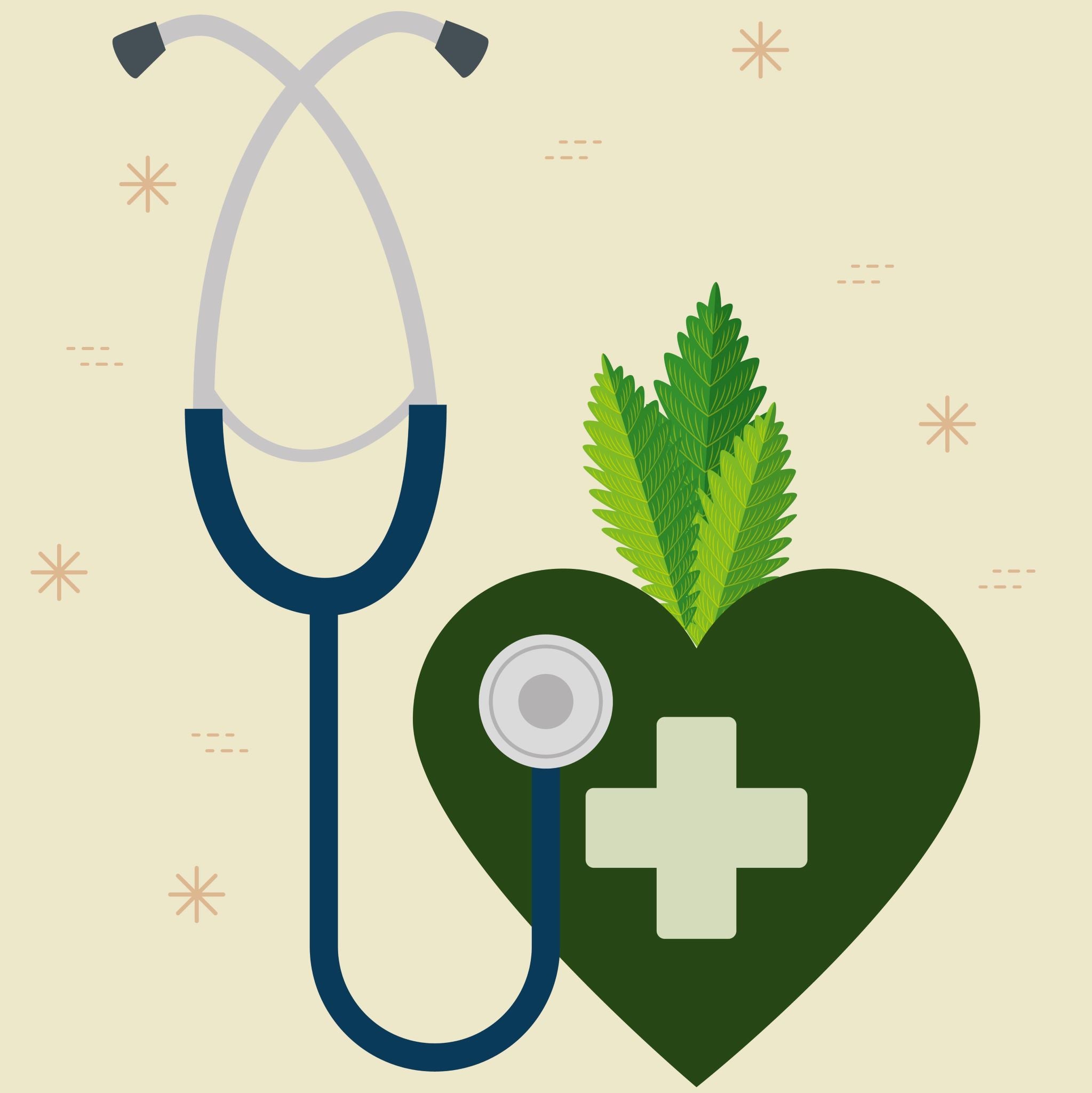 Precautions of Wild Stinging Nettle