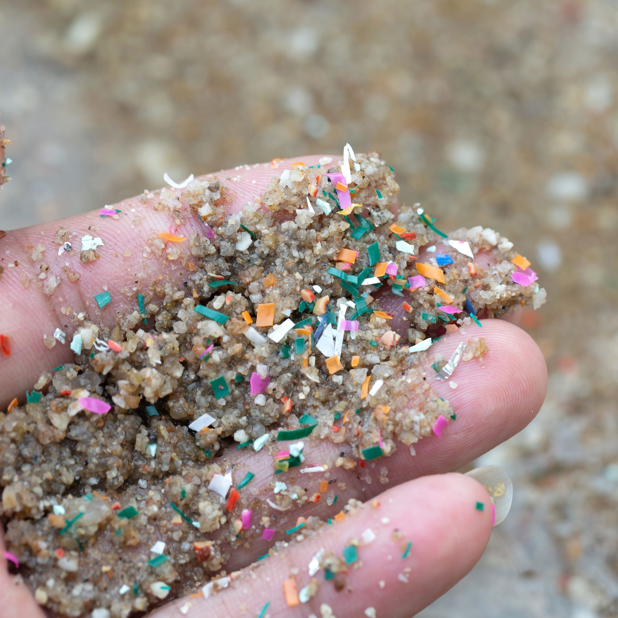 Detox from Microplastics with Dandelion Roots