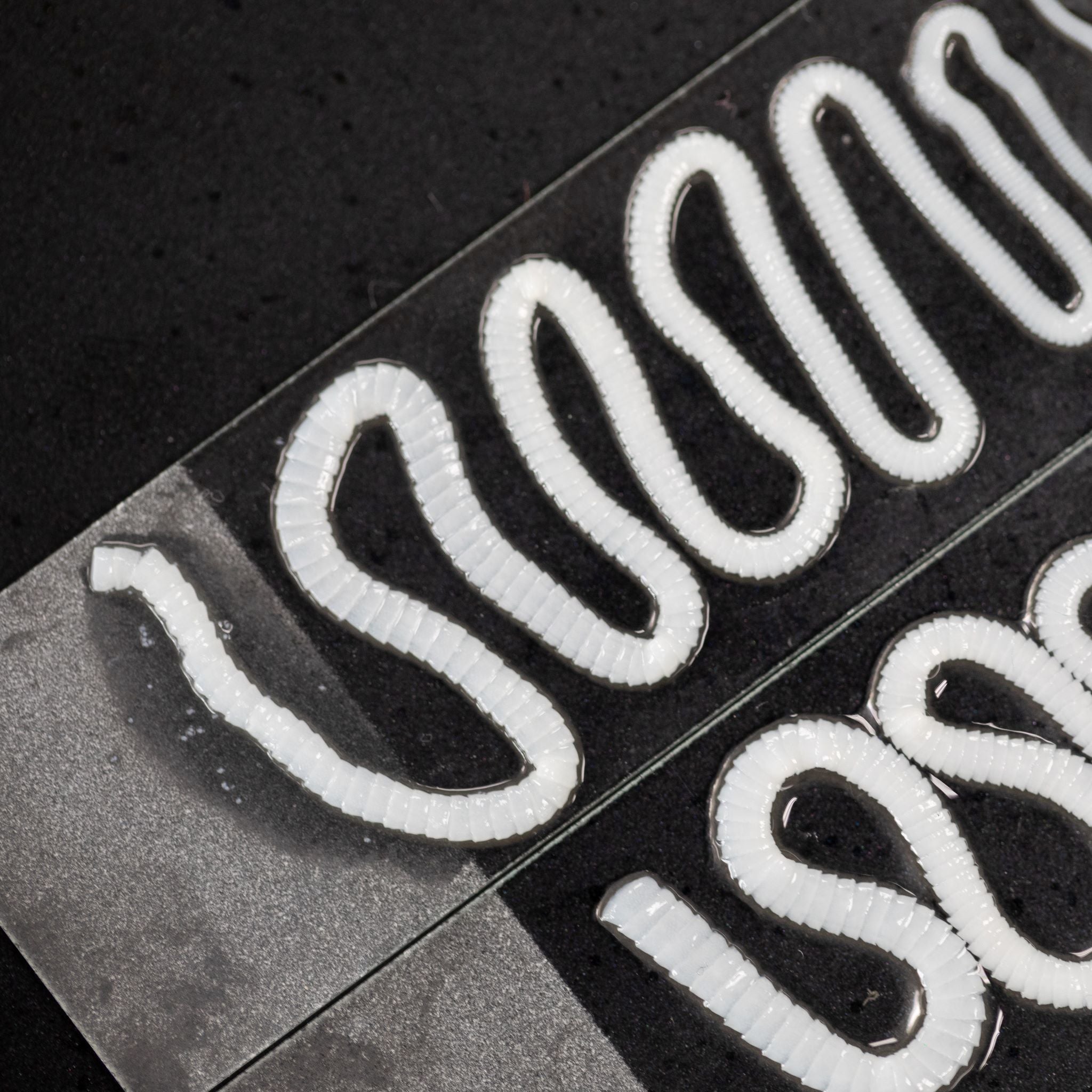 THE HERBS THE PARASITE DESTROYERS Part 2