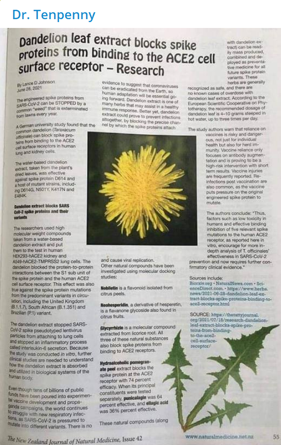 The power of #Dandelion