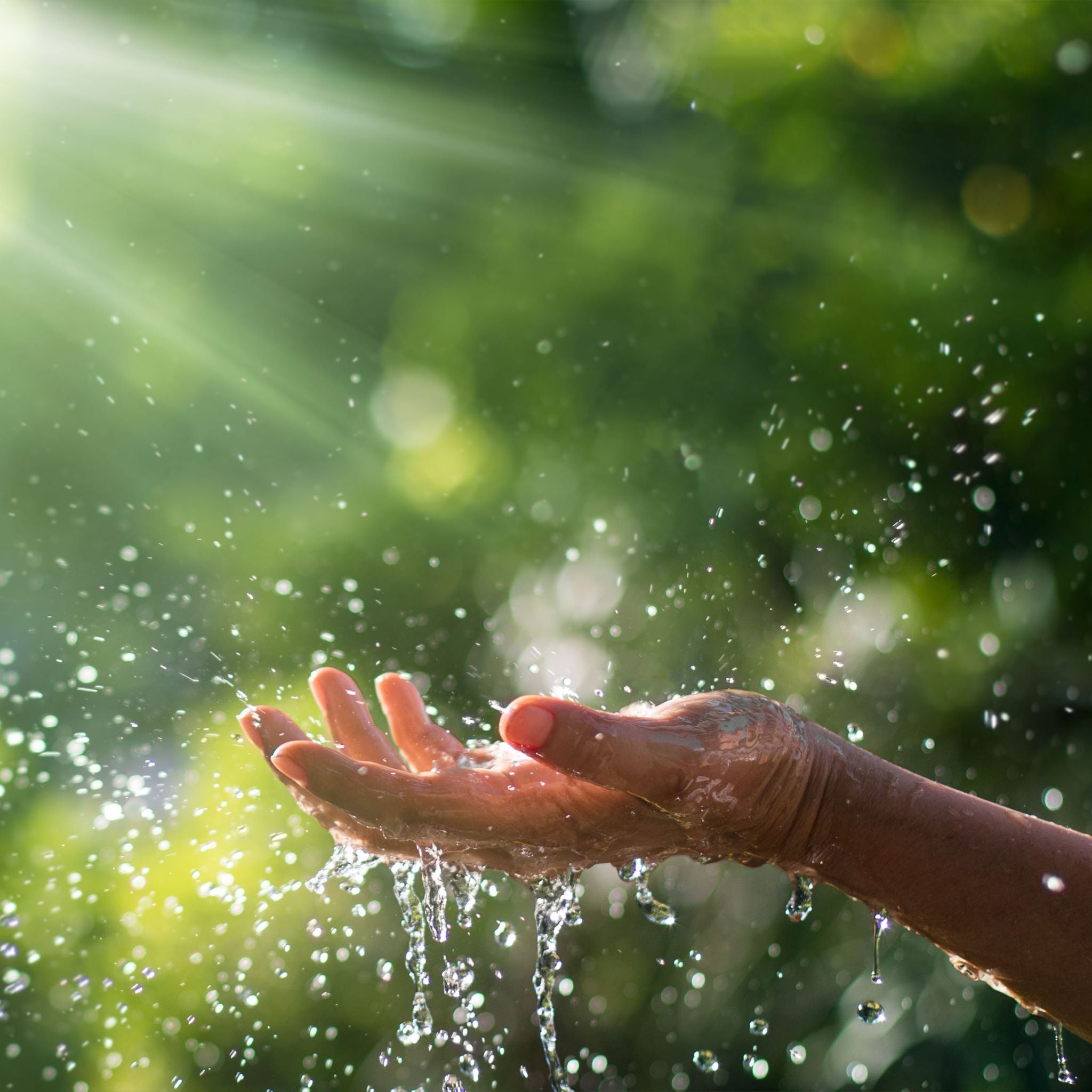 9 Amazing Healing Benefits of Burdock Root