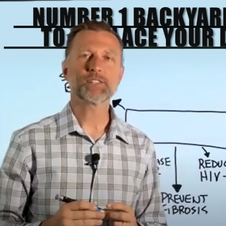 Replace your Meds with Dandelion Greens