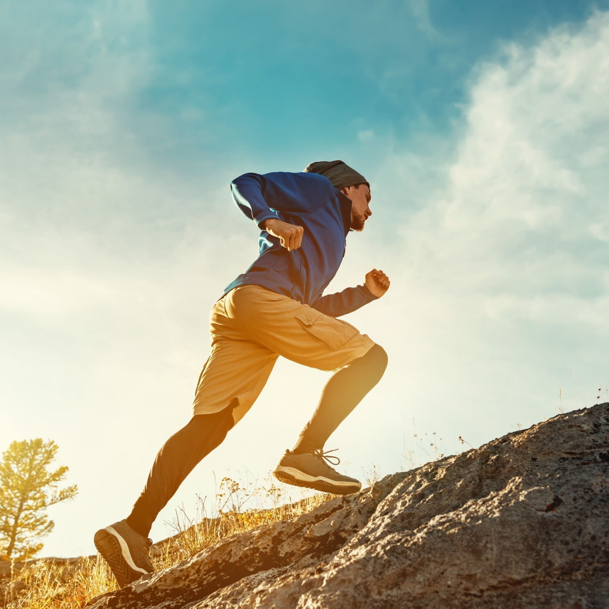 Surprising Benefits of White Willow Bark