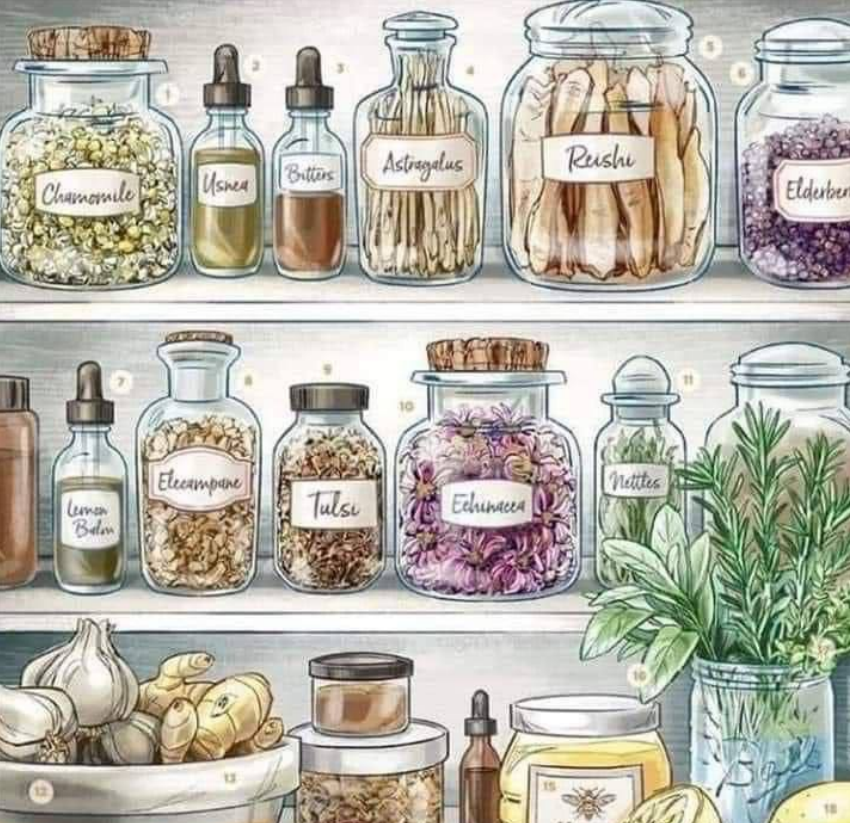 What's on your Shelves? 9/23/22