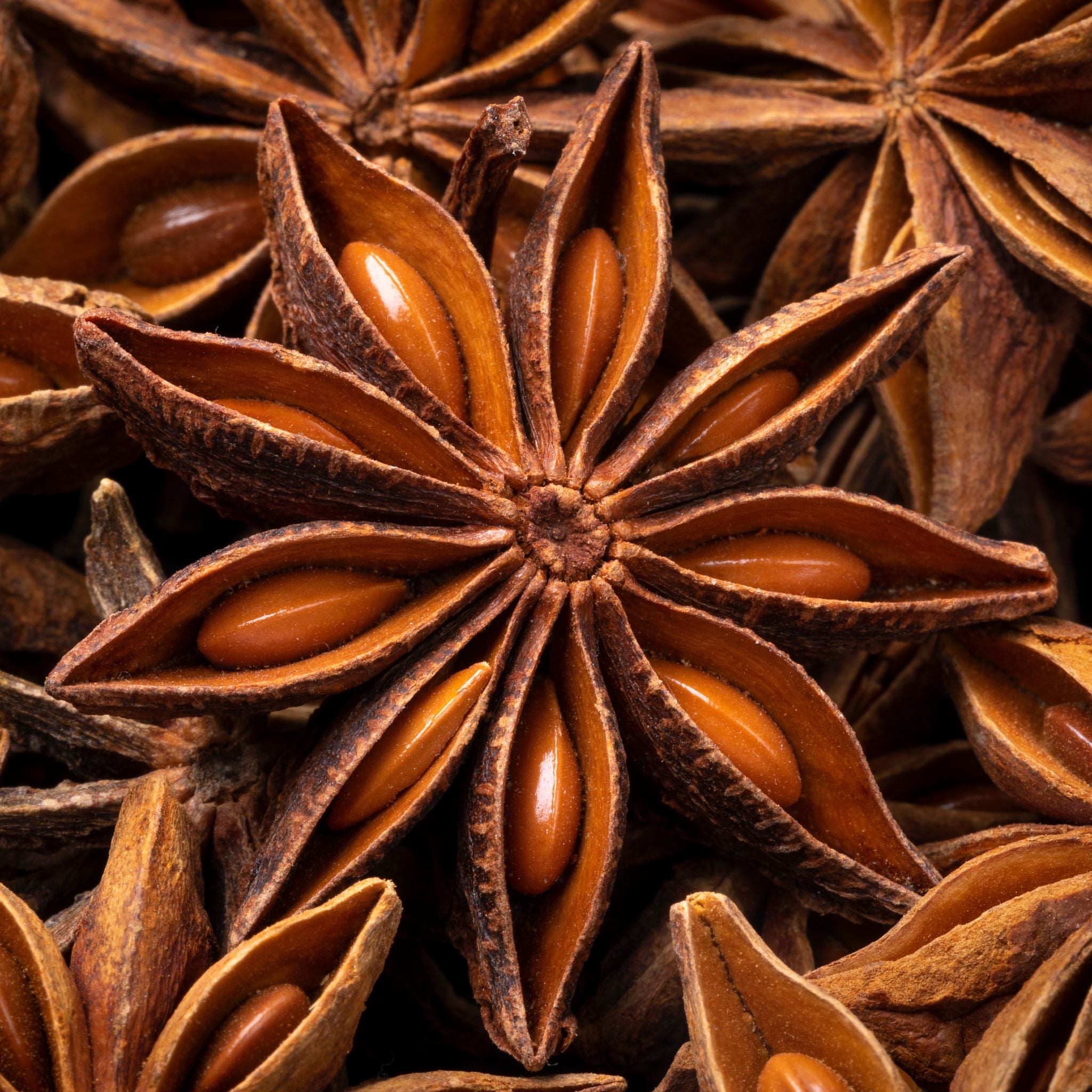 Star Anise in 5 Easy Bullet Points