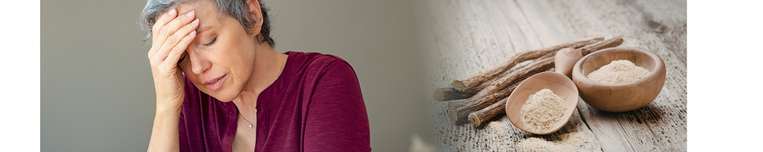 Licorice Root and Stress: What’s the Connection?