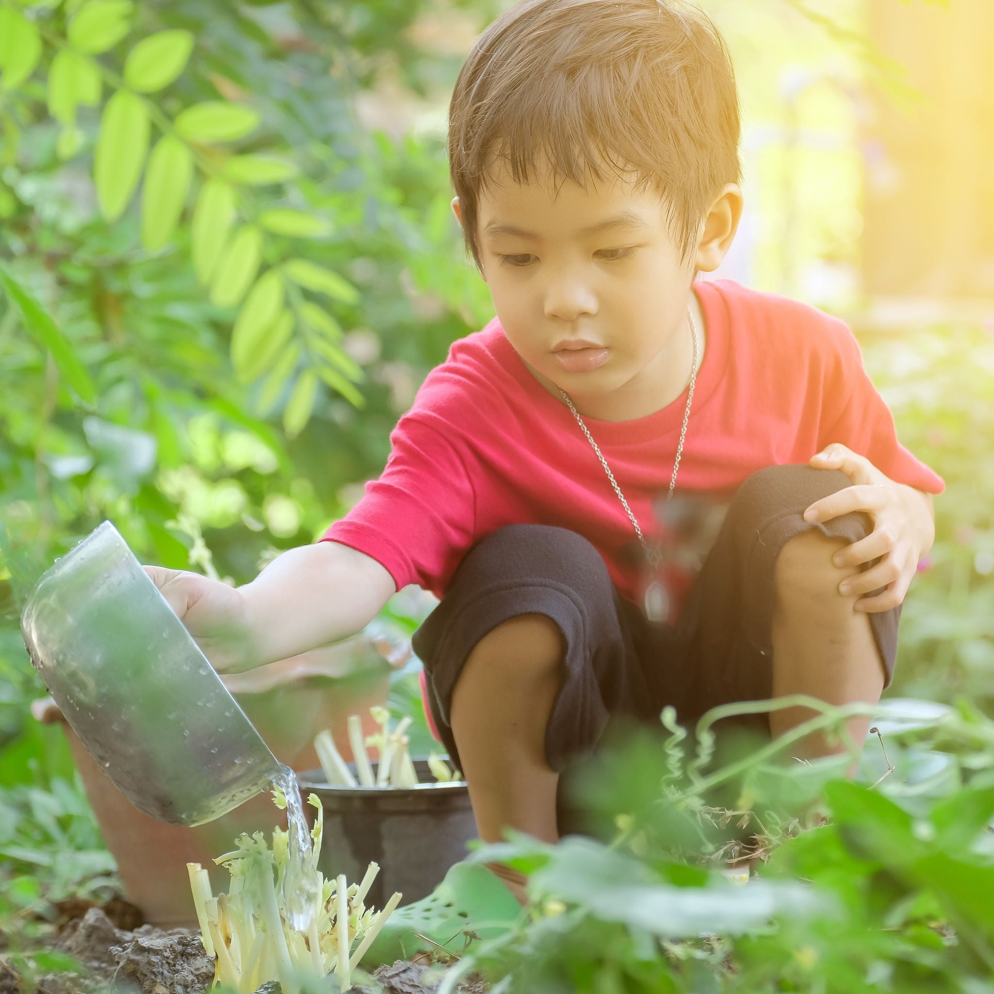 One Herb To Restore Your Kidneys- Nettle 🌿