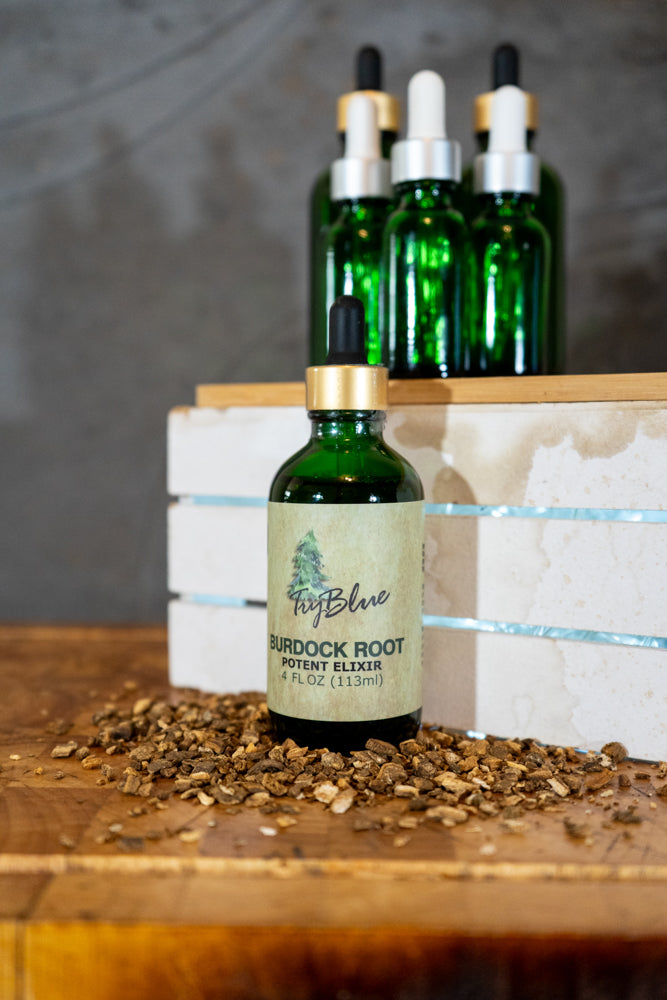 Burdock Root Elixir