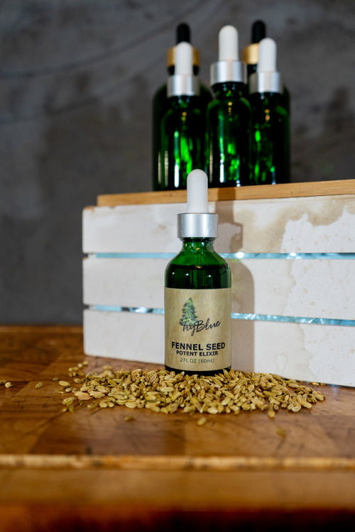 Fennel Seed Elixir