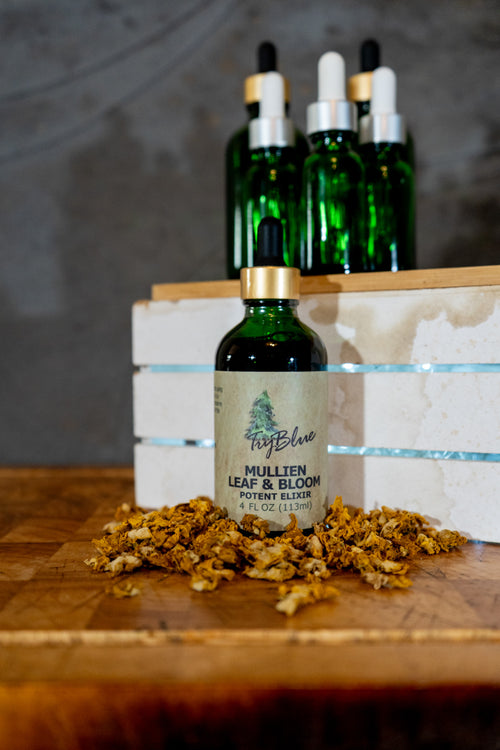 Mullein Leaf & Bloom Elixir