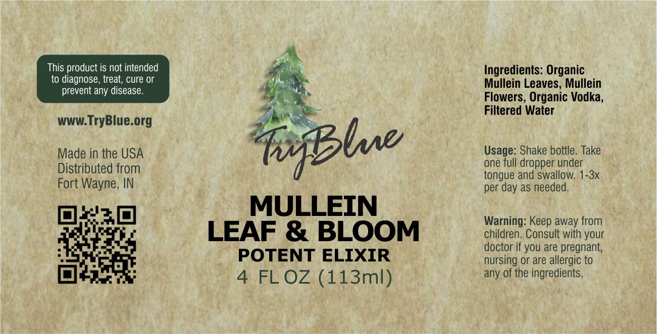 Mullein Leaf & Bloom Elixir