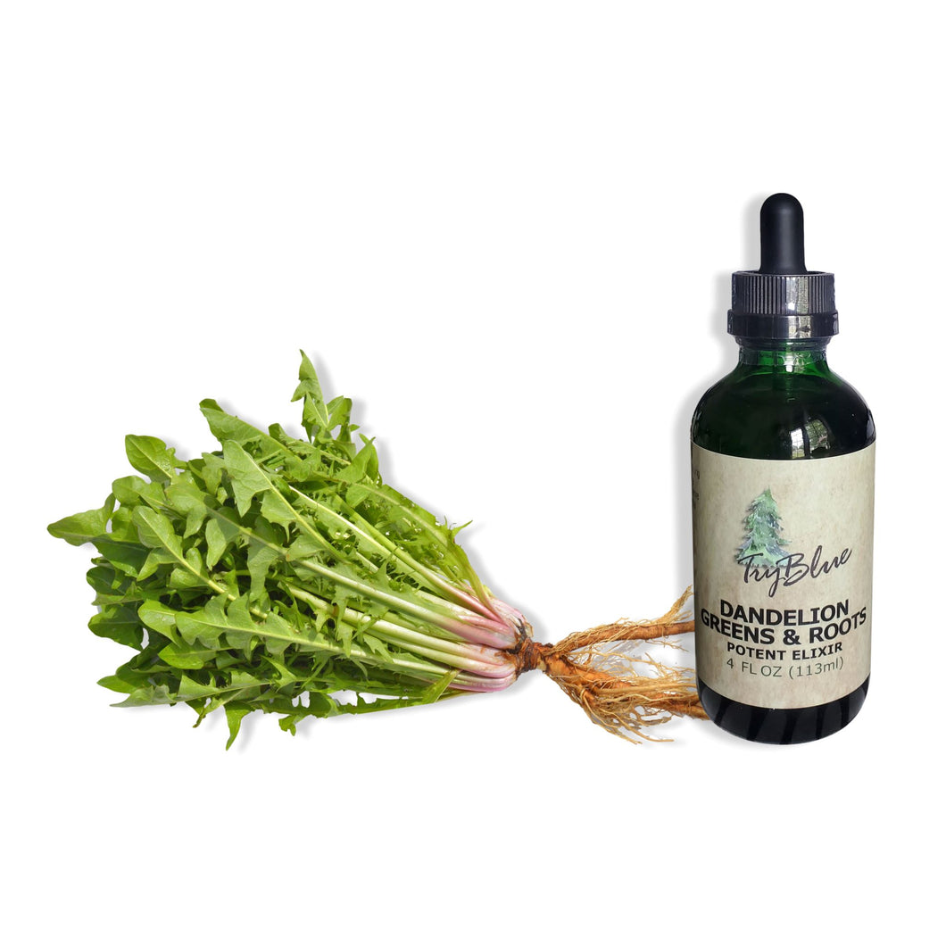 Dandelion Greens & Roots Elixir