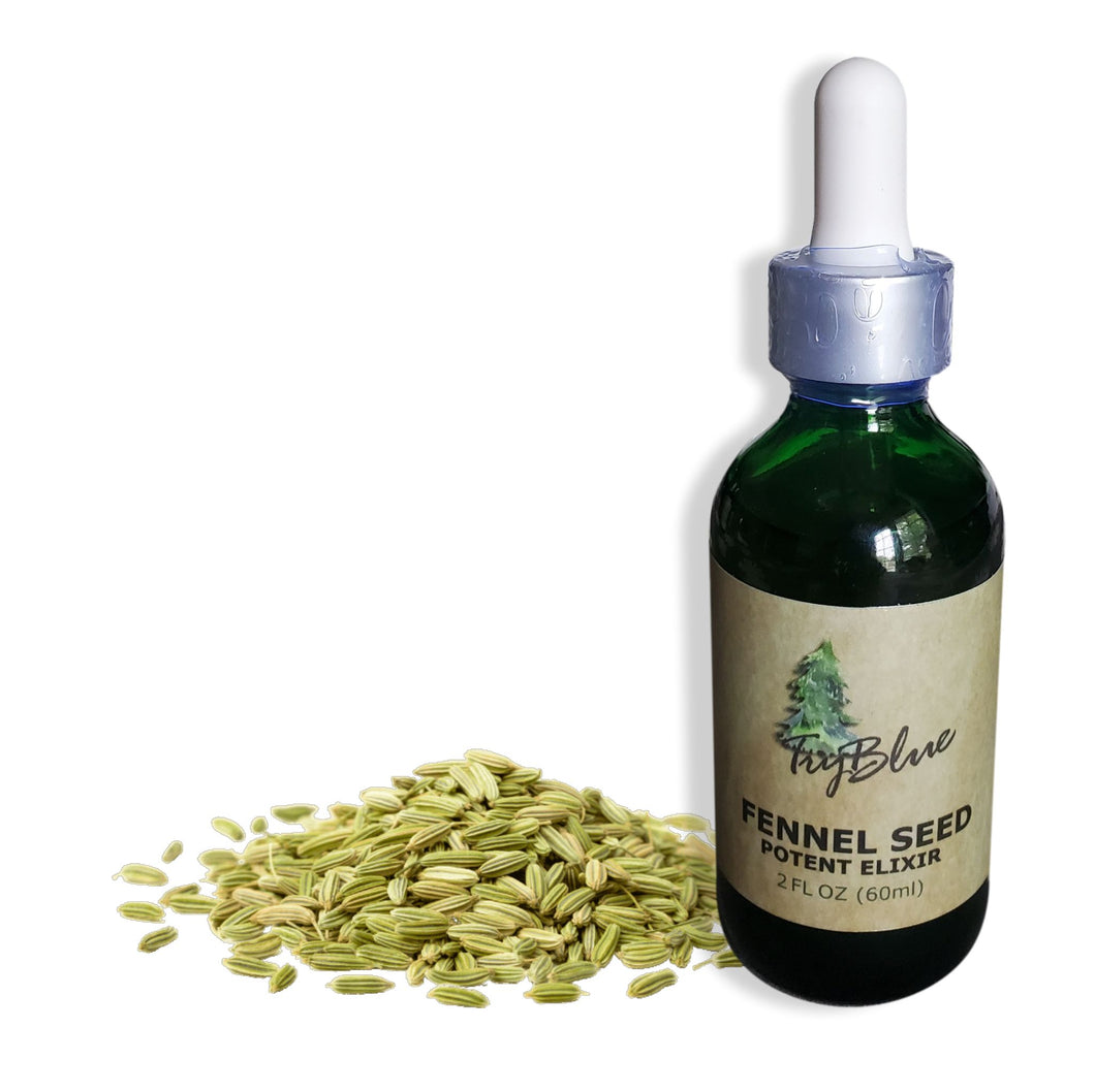 Fennel Seed Elixir