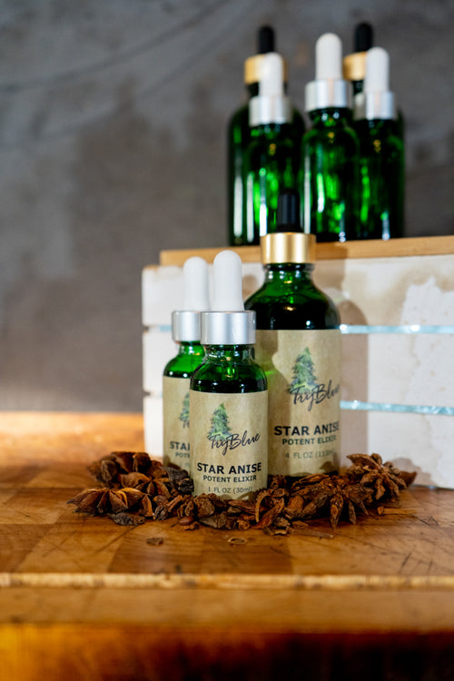 Star Anise Elixir