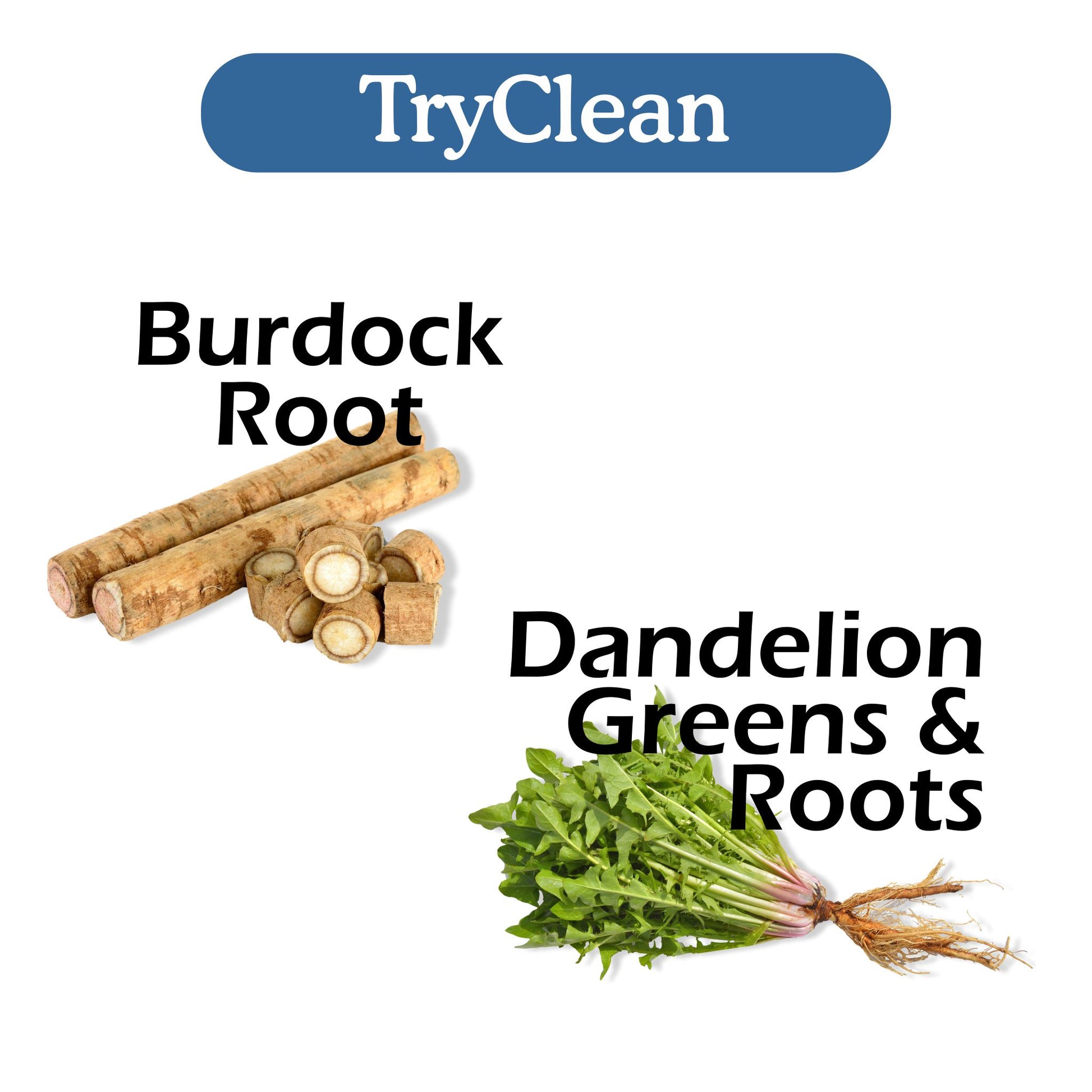 TryClean