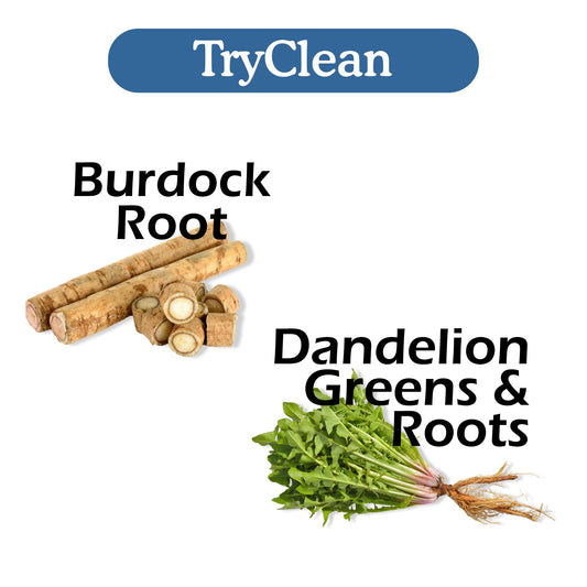 TryClean