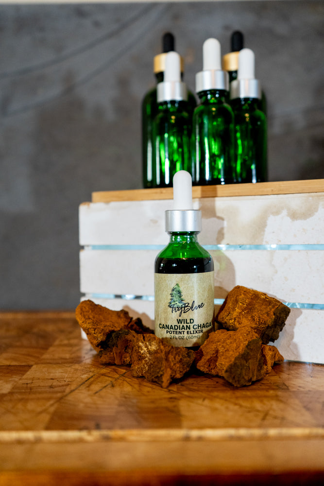 Wild Canadian Chaga Elixir