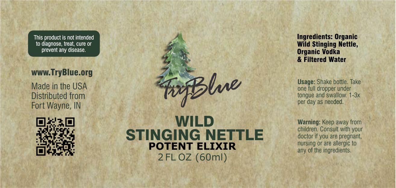 Wild Stinging Nettle Elixir