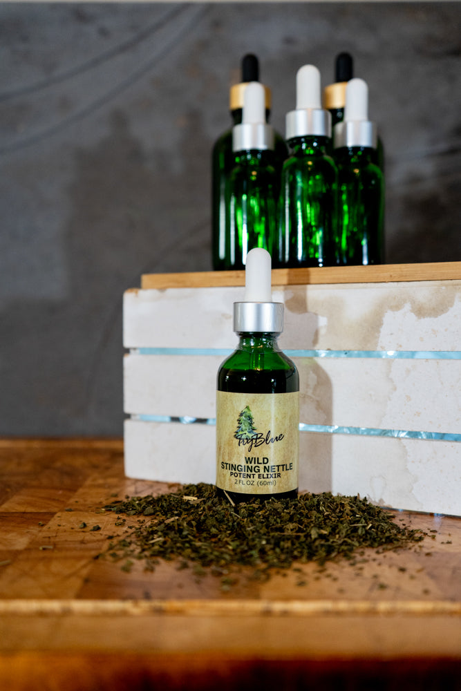 Wild Stinging Nettle Elixir