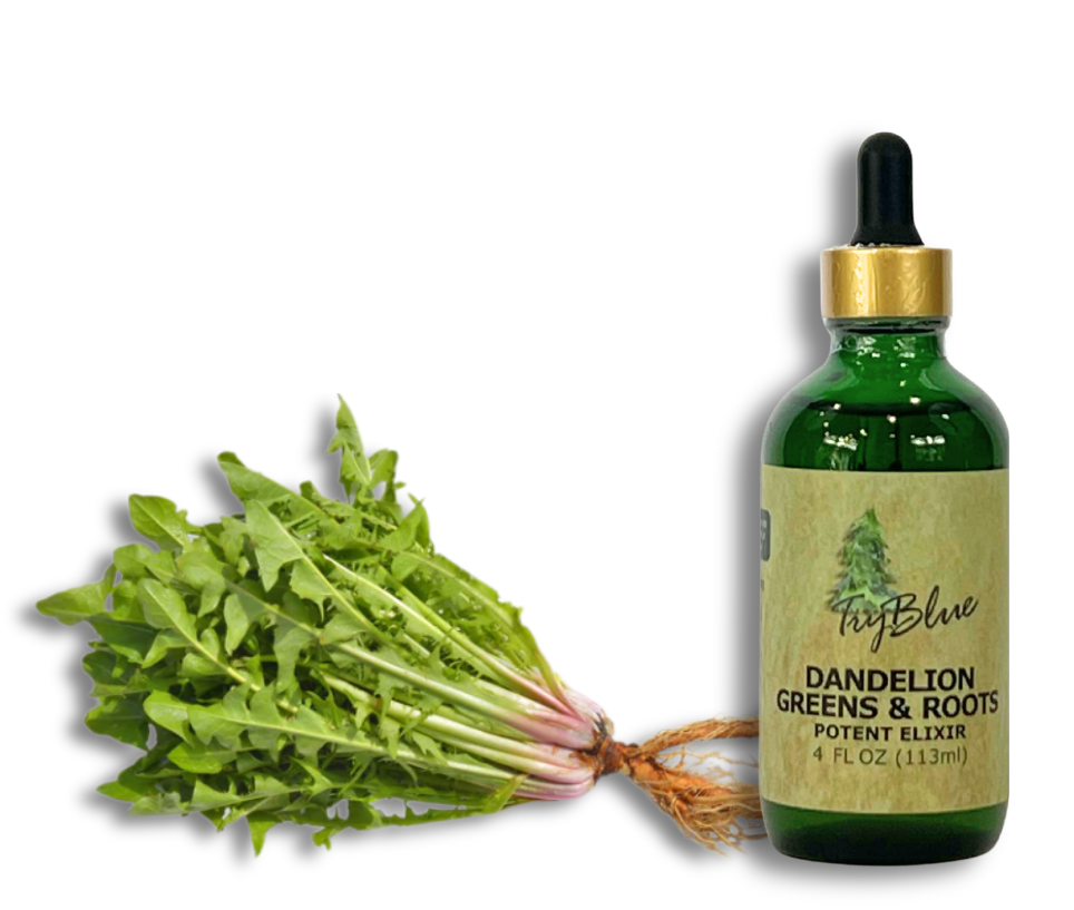 Dandelion Greens & Roots Elixir
