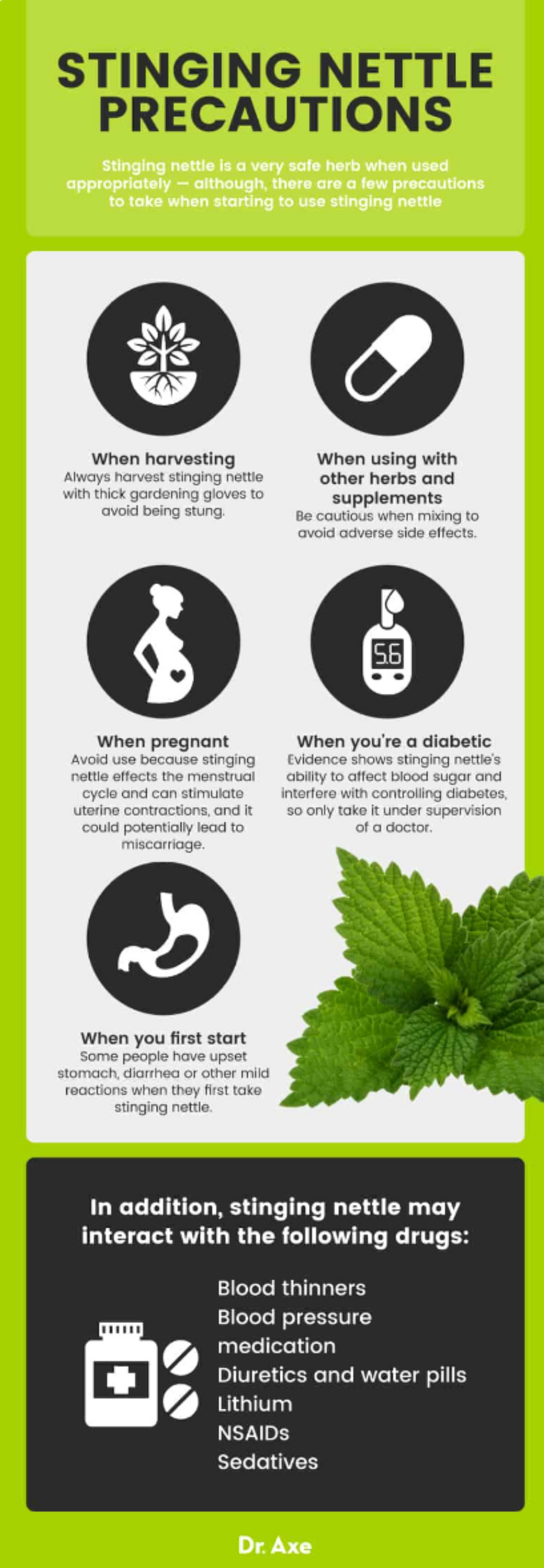 Wild Stinging Nettle Elixir