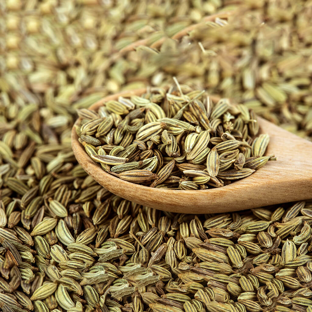 Fennel Seed Elixir
